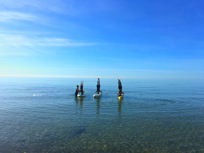SUP Intro Kursus eller SUP Surf kursus